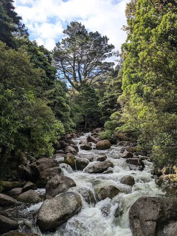 Boulder-strewn freshwater stream and native kauri bush along the Wairere Falls walking track.