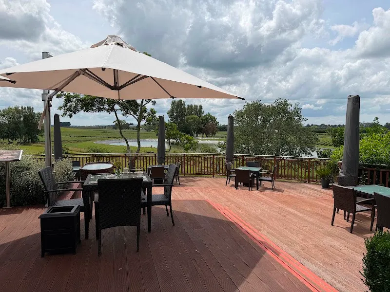 Sun-drenched outdoor tea terrace and umbrellas overlooking tea plantations at Zealong Tea Estate.