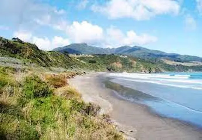 Dark volcanic sands and surf waves along Ngarunui Beach looking toward Mt Karioi.