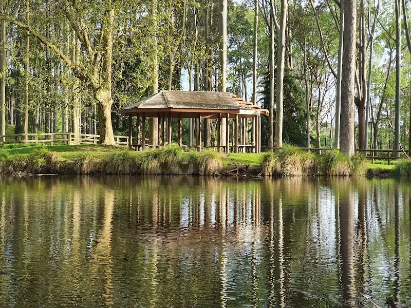 Woodland pavilion reflecting across the tranquil lake at Taitua Arboretum.