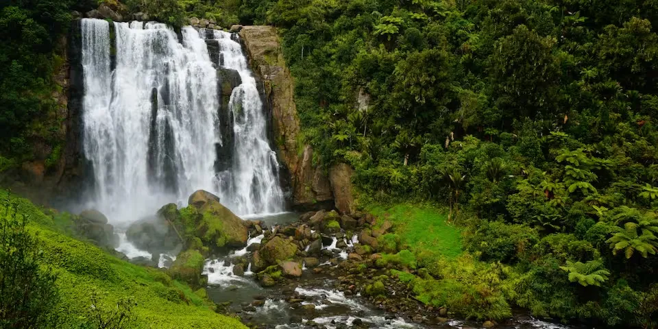 Marokopa Falls cascading 35 metres down a rocky cliff surrounded by lush native bush.