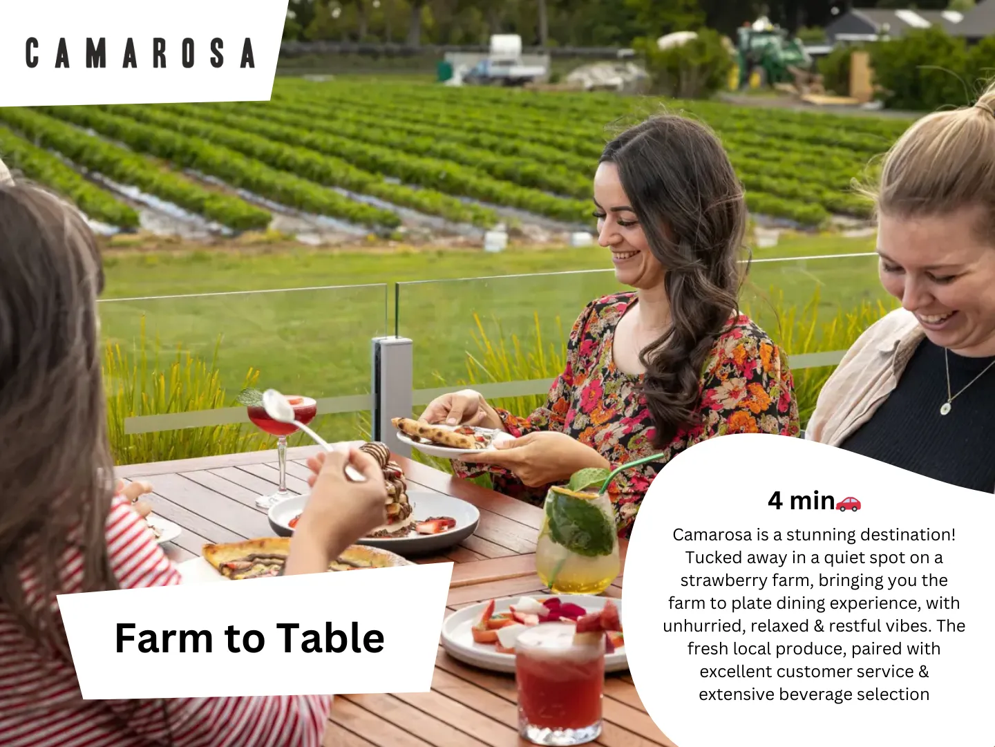 Original guidebook panel: camarosa farm to table restaurant hamilton