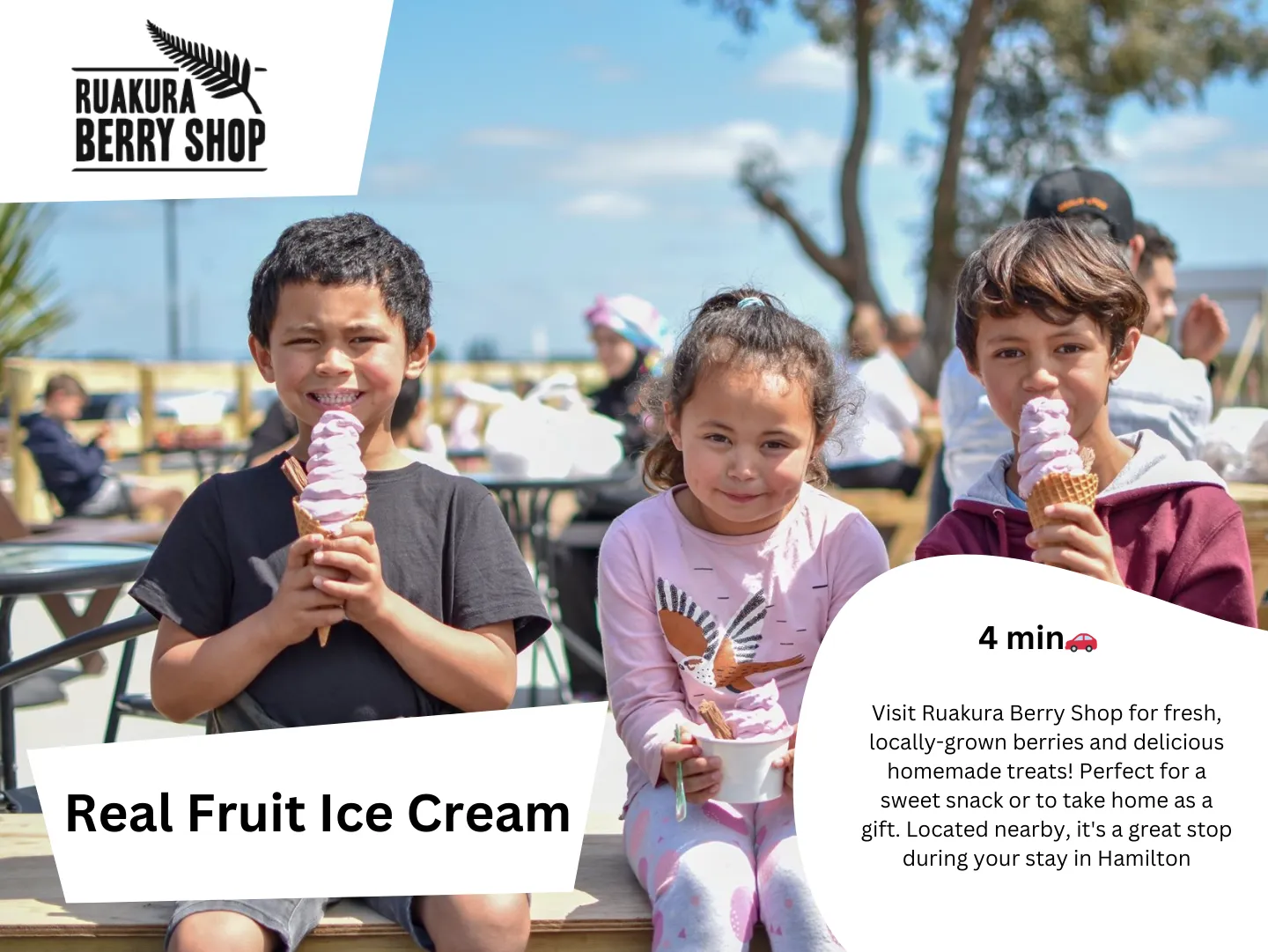 Original guidebook panel: ruakura berry shop real fruit ice cream