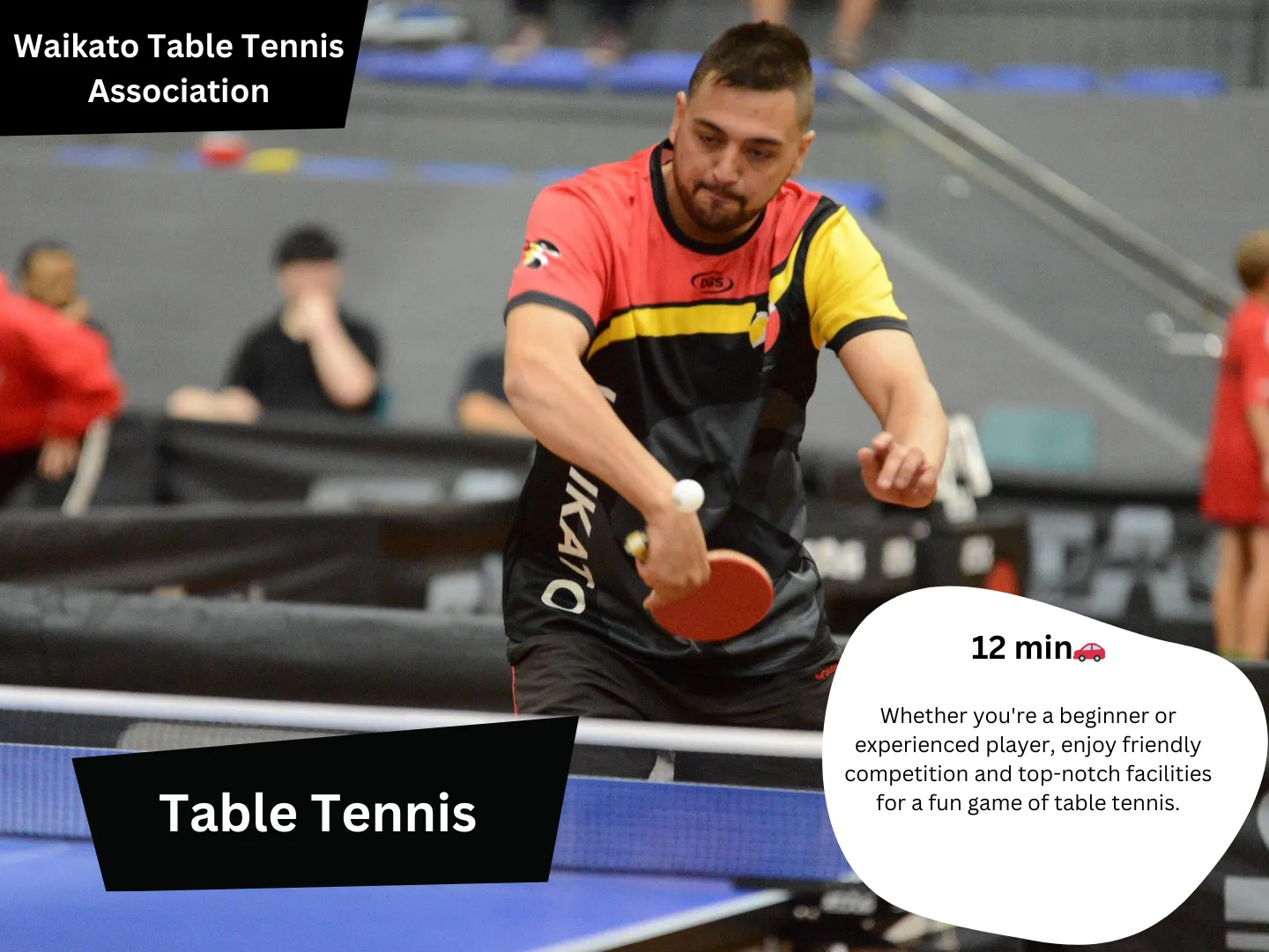 Original guidebook panel: waikato table tennis association hamilton