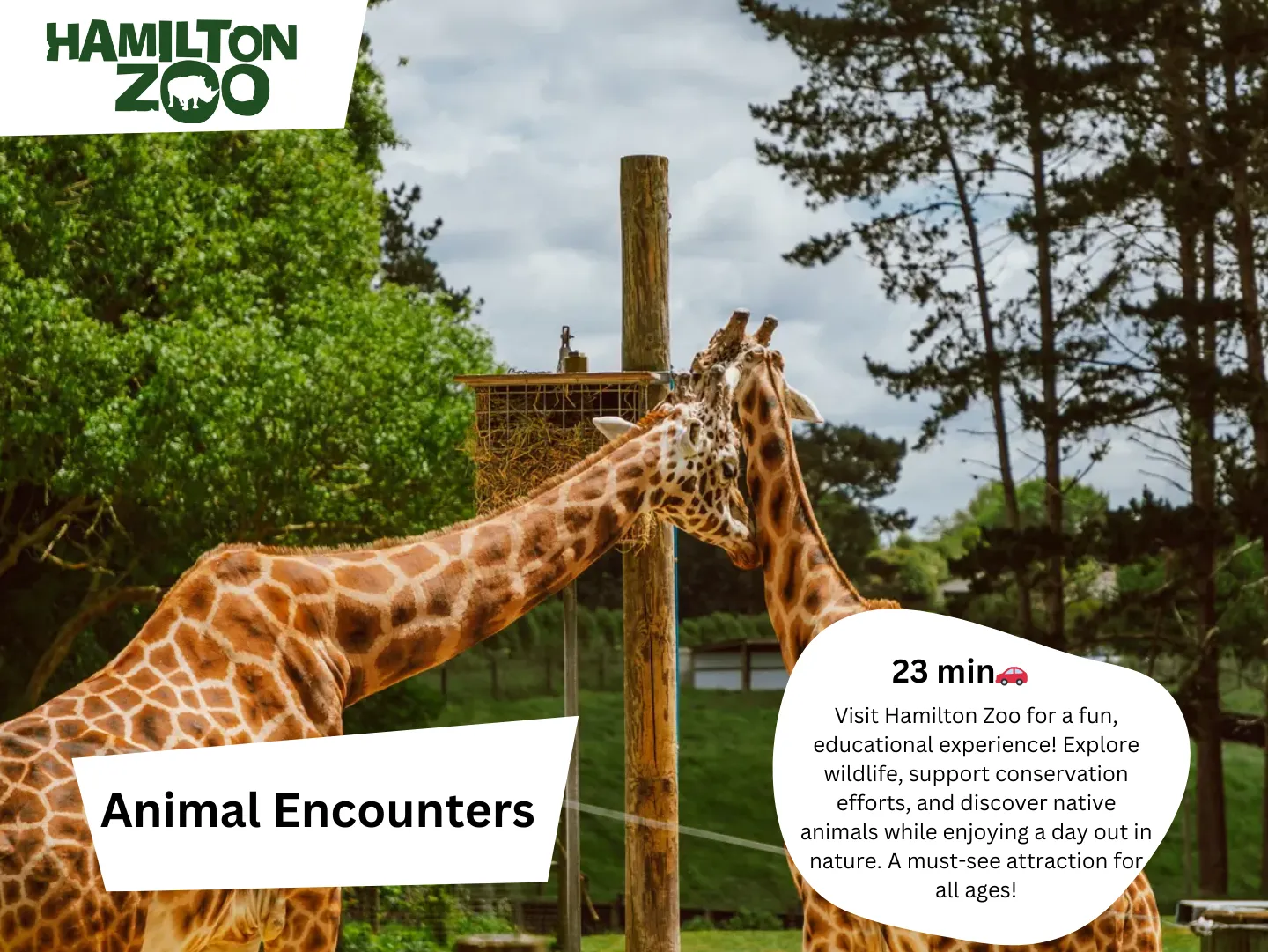 Original guidebook panel: hamilton zoo animal encounters